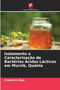 Isolamento e Caracterizacao de Bacterias Acidas Lacticas em Mursik, Quenia by Chadwick Digo - Paperback