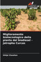 Miglioramento biotecnologico della pianta del biodiesel - Jatropha Curcas by Shilpi Chowhan - Paperback