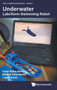 Underwater Labriform-swimming Robot : 1 by Farah Abbas Naser - Hardback