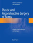 Plastic and Reconstructive Surgery of Burns : An Atlas of New Techniques and Strategies by Viktor M. Grishkevich - Paperback
