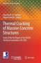 Thermal Cracking of Massive Concrete Structures : State of the Art Report of the RILEM Technical Committee 254-CMS : 27 by Eduardo M.R. Fairbairn - Paperback