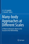 Many-body Approaches at Different Scales : A Tribute to Norman H. March on the Occasion of his 90th Birthday by G.G.N Angilella - Paperback