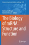 The Biology of mRNA: Structure and Function : 1203 by Marlene Oeffinger - Paperback