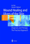 Wound Healing and Ulcers of the Skin : Diagnosis and Therapy - The Practical Approach by Avi Shai - Paperback