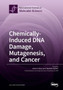 Chemically-Induced DNA Damage, Mutagenesis, and Cancer by Ashis K Basu - Paperback