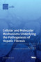 Cellular and Molecular Mechanisms Underlying the Pathogenesis of Hepatic Fibrosis by Ralf Weiskirchen - Hardback