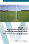 Stadt- und Regionalentwicklung in strukturschwachem Raum by Holger Schmidtke - Paperback