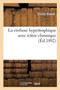 La Cirrhose Hypertrophique Avec Ictere Chronique by Victor Hanot - Paperback