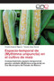 Espacio-temporal de (Mythimna unipuncta) en el cultivo de maiz by Esquivel Higuera Vicente - Paperback