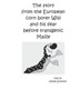 The story from the European corn borer Willi and his fear before transgenic Maize by Detlef Schmidt - Paperback
