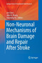 Non-Neuronal Mechanisms of Brain Damage and Repair After Stroke by Jun Chen - Paperback