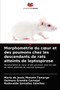 Morphometrie du coeur et des poumons chez les descendants de rats atteints de leptospirose by Maria de Jesus Monzon Tamargo - Paperback