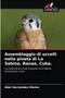 Assemblaggio di uccelli nella pineta di La Sabina, Banao, Cuba. by Abel Hernandez-Munoz - Paperback