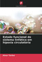 Estado funcional do sistema linfatico em hipoxia circulatoria by Ainur Yerlan - Paperback