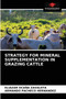 Strategy for Mineral Supplementation in Grazing Cattle by Eliazar Ocana Zavaleta - Paperback