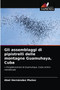 Gli assemblaggi di pipistrelli delle montagne Guamuhaya, Cuba by Abel Hernandez Munoz - Paperback