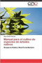 Manual Para El Cultivo de Especies de Arboles Nativos by Rosa Amelia Pedraza - Paperback