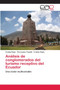 Analisis de conglomerados del turismo receptivo del Ecuador by Freddy Rojas - Paperback
