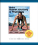 Hole's Human Anatomy and Physiology by David N. Shier - Paperback