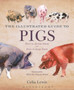 The Illustrated Guide to Pigs : How to Choose Them - How to Keep Them by Celia Lewis - Hardback