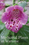 Britain's Green Allies : Medicinal Plants in Wartime by Peter G. Ayres - Paperback