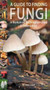 A Guide to Finding Fungi in Berkshire, Buckinghamshire and Oxfordshire by Peter Creed - Paperback