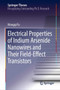 Electrical Properties of Indium Arsenide Nanowires and Their Field-Effect Transistors by Mengqi Fu - Hardback