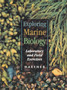 Exploring Marine Biology : Laboratory and Field Exercises by Haefner - Paperback