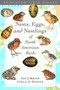 A Guide to the Nests, Eggs and Nestlings of North American Birds by C.J.O. Harrison - Paperback