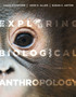 Exploring Biological Anthropology : The Essentials by Craig B. Stanford - Paperback