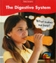 Digestive System : What Makes Me Burp? by Sue Barraclough - Paperback