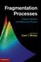 Fragmentation Processes : Topics in Atomic and Molecular Physics by Colm T. Whelan - Hardback