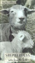 Shepherdess : Notes from the Field by Joan Jarvis Ellison - Paperback
