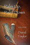 Palm Up, Palm Down by David Taylor - Paperback