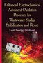 Enhanced Electrochemical Advanced Oxidation Processes for Wastewater Sludge Stabilization & Reuse by Gagik Badalians Gholikandi - Hardback