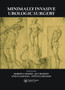 Minimally Invasive Urological Surgery by Robert G. Moore - Hardback