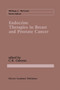 Endocrine Therapies in Breast and Prostate Cancer : 39 by C.Kent Osborne - Paperback Endocrine Therapies in Breast and Prostate Cancer : 39 by C.Kent Osborne - Paperback