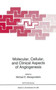 Molecular, Cellular, and Clinical Aspects of Angiogenesis : 285 by Michael E. Maragoudakis - Paperback
