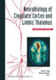 Neurobiology of Cingulate Cortex and Limbic Thalamus : A Comprehensive Handbook by VOGT - Paperback