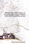 What's the Hair Color of Your Dream Lover? Why? : A Look at How Humans Think and See by David Rudd Cycleback - Paperback