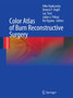 Color Atlas of Burn Reconstructive Surgery by Hiko Hyakusoku - Hardback