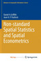 Non-standard Spatial Statistics and Spatial Econometrics by Daniel A. Griffith - Paperback