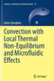 Convection with Local Thermal Non-Equilibrium and Microfluidic Effects : 32 by Brian Straughan - Paperback