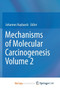 Mechanisms of Molecular Carcinogenesis - Volume 2 by Johannes Haybaeck - Paperback