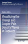 Visualising the Charge and Cooper-Pair Density Waves in Cuprates by Stephen Edkins - Hardback