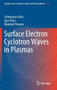 Surface Electron Cyclotron Waves in Plasmas : 107 by Volodymyr Girka - Hardback