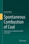 Spontaneous Combustion of Coal : Characteristics, Evaluation and Risk Assessment by Xinyang Wang - Hardback