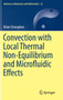 Convection with Local Thermal Non-Equilibrium and Microfluidic Effects : 32 by Brian Straughan - Hardback