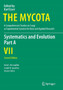 Systematics and Evolution : Part A : 7A by David J. McLaughlin - Paperback