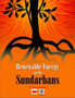 Renewable Energy in the Sundarbans by S.P.Gon Chaudhuri - Paperback